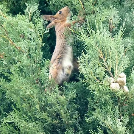 Au Clos De Mathilde 3*