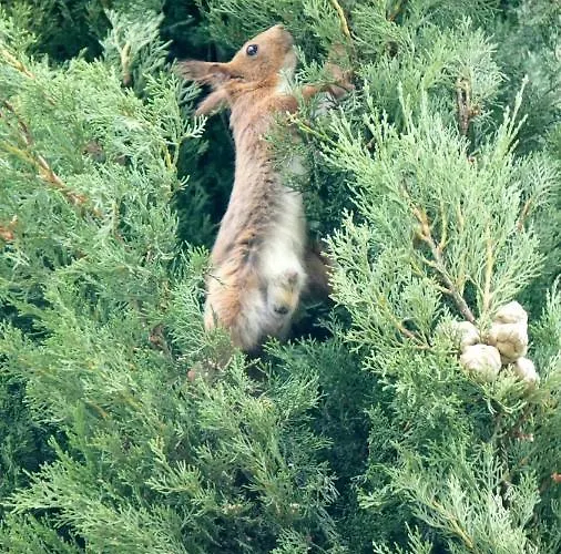 Au Clos De Mathilde 3*